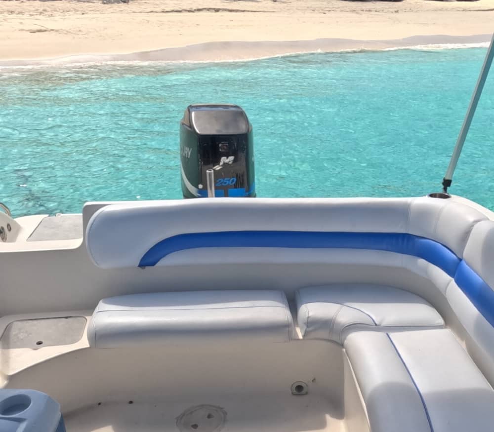 Half-day Bahamas Bliss: Swim with Turtles & Snorkel Rose Island