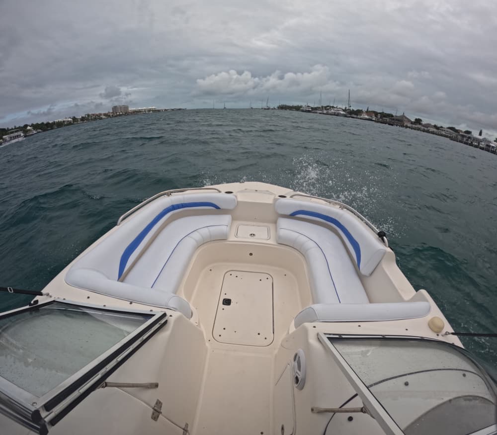 Half-day Bahamas Bliss: Swim with Turtles & Snorkel Rose Island