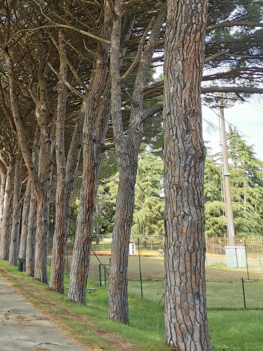Aventura en el Parque Nacional de Brijuni: explora, nada y saborea el Adriático