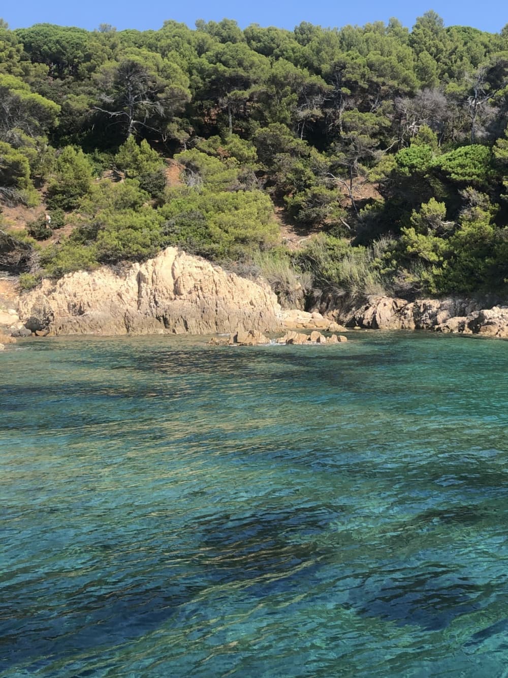 Półdniowa wycieczka łodzią motorową po Saint-Tropez