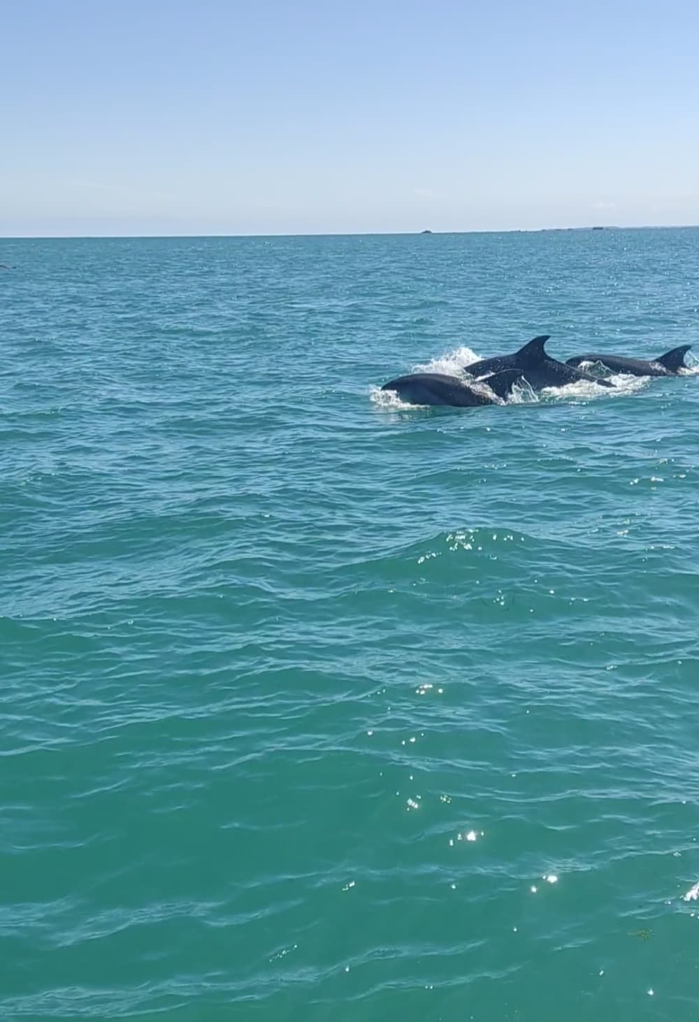 Votre bateau à moteur privé pour une journée autour de Saint-Quay Port d'Armor