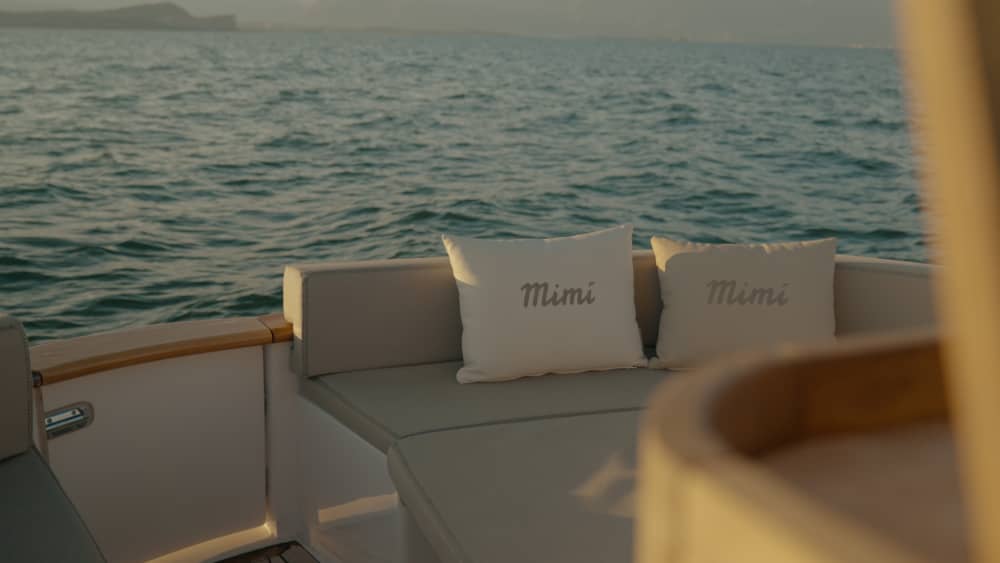 Mini cruise on Lake Garda