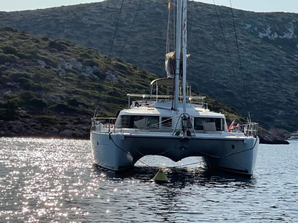 Half-Day Escape on a Catamaran – Departing from Setúbal with a Scenic Route to Arrábida