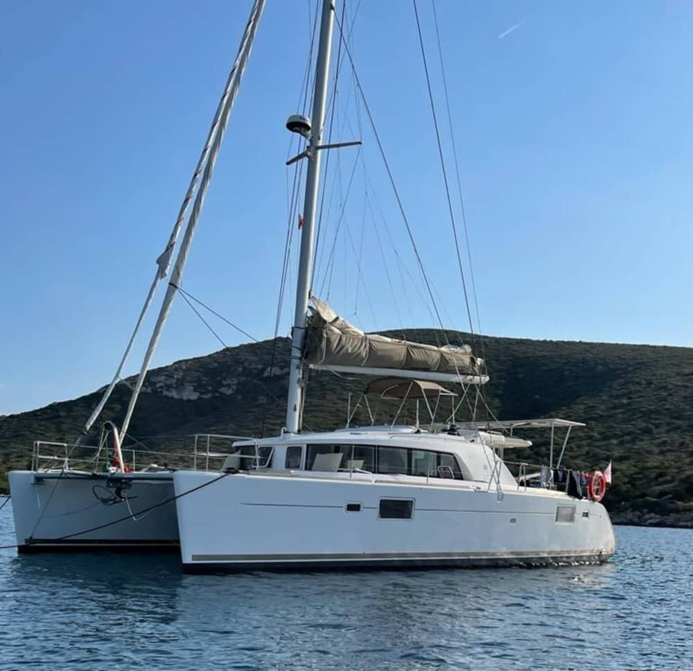 Half-Day Escape on a Catamaran – Departing from Setúbal with a Scenic Route to Arrábida