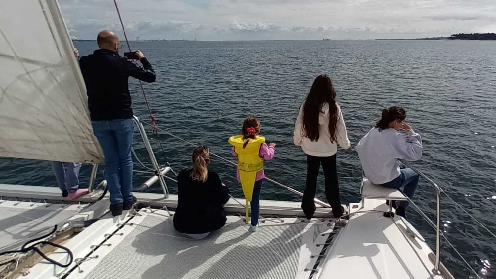 Half-Day Escape on a Catamaran – Departing from Setúbal with a Scenic Route to Arrábida