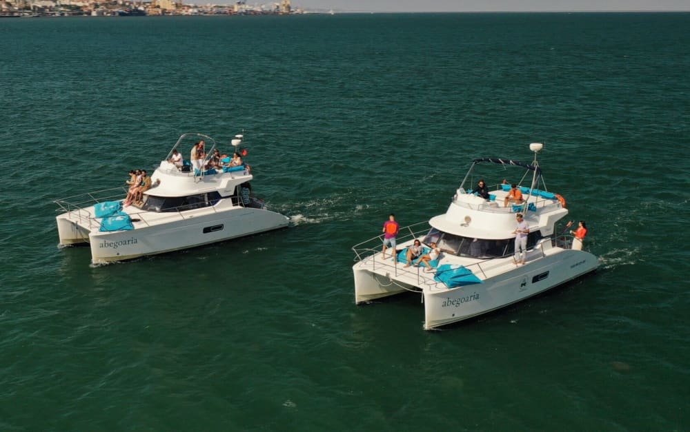 Doublez le plaisir avec un voyage sur DEUX catamarans à Lisbonne