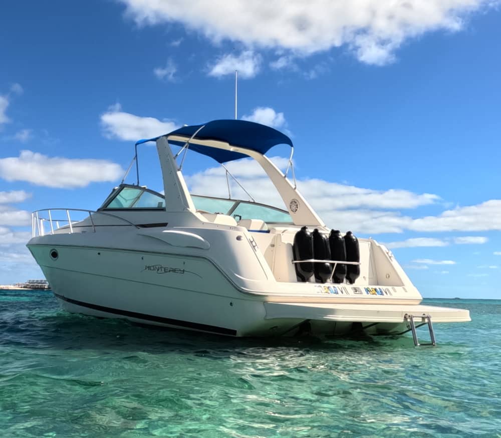 Turtles & Reefs: Half-Day Snorkeling Getaway