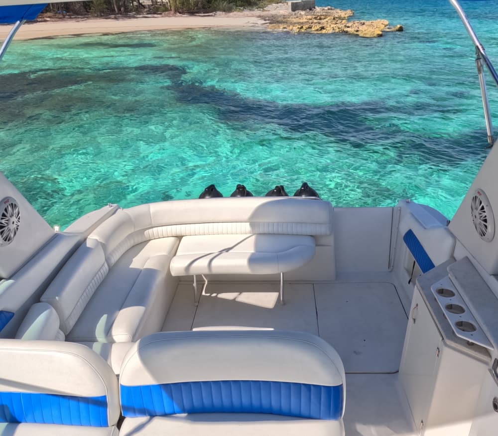 Turtles & Reefs: Half-Day Snorkeling Getaway