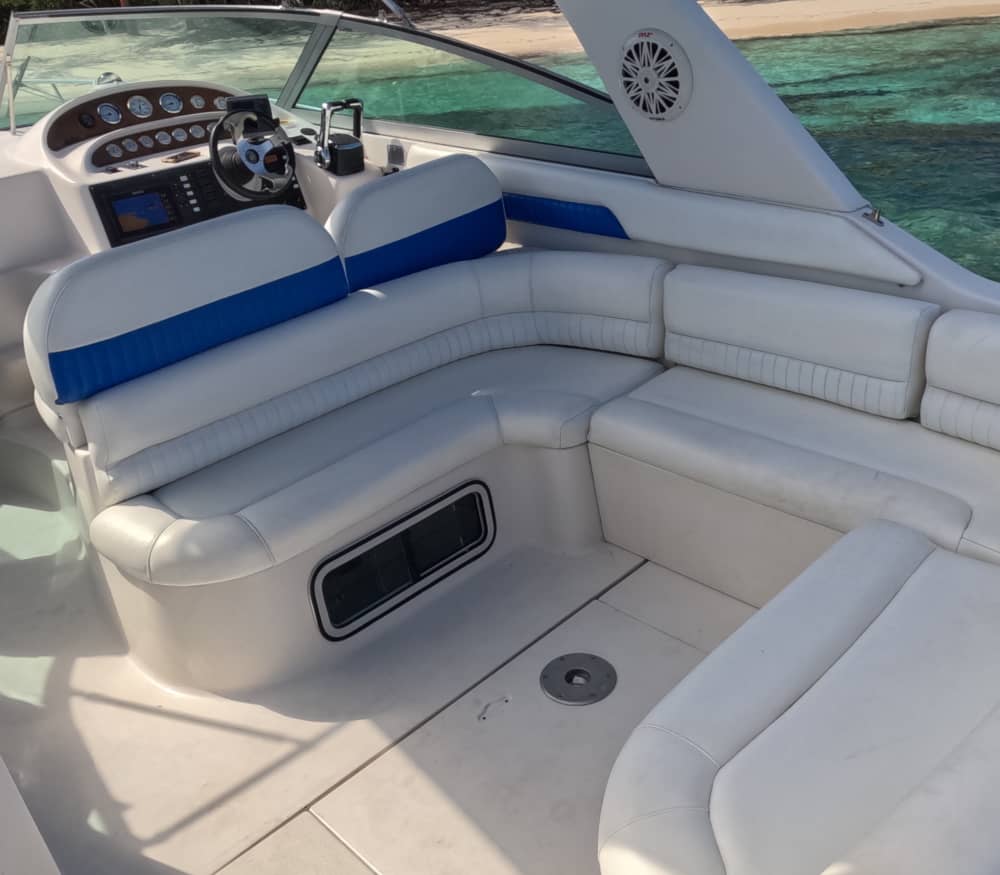 Turtles & Reefs: Half-Day Snorkeling Getaway