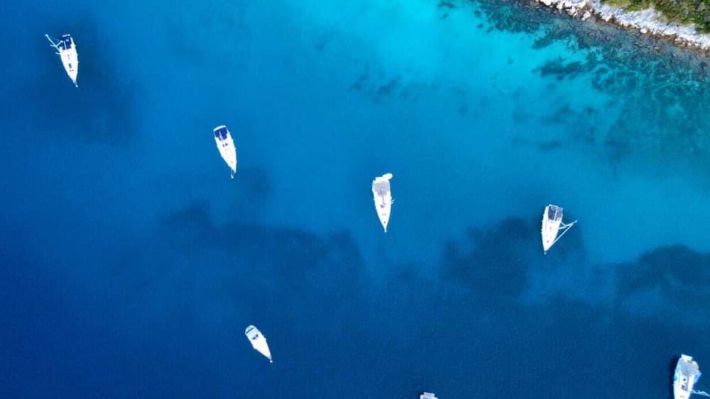 Heldags seglingsupplevelse i Ancona