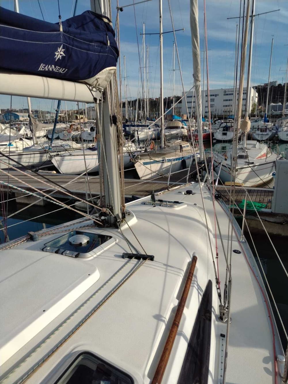 Heldags seglingsupplevelse i Ancona