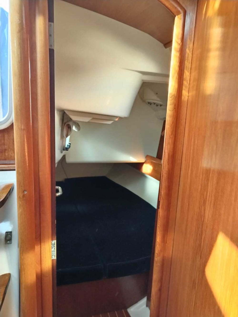 Heldags seglingsupplevelse i Ancona