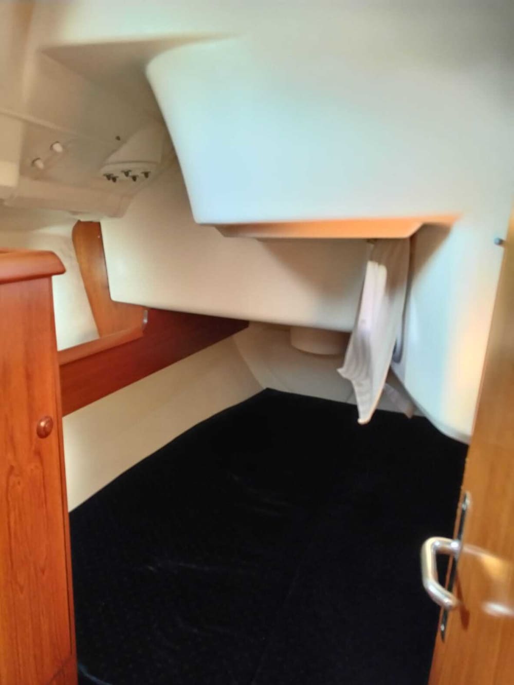 Heldags seglingsupplevelse i Ancona