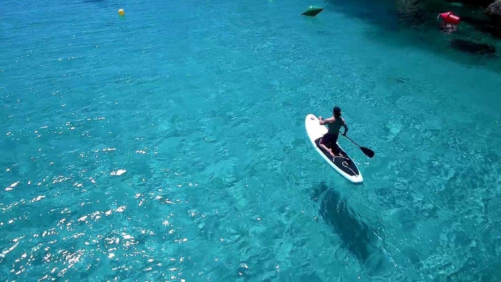 Sea Breeze Escape: Halvdagskatamarancharter i Palma de Mallorca