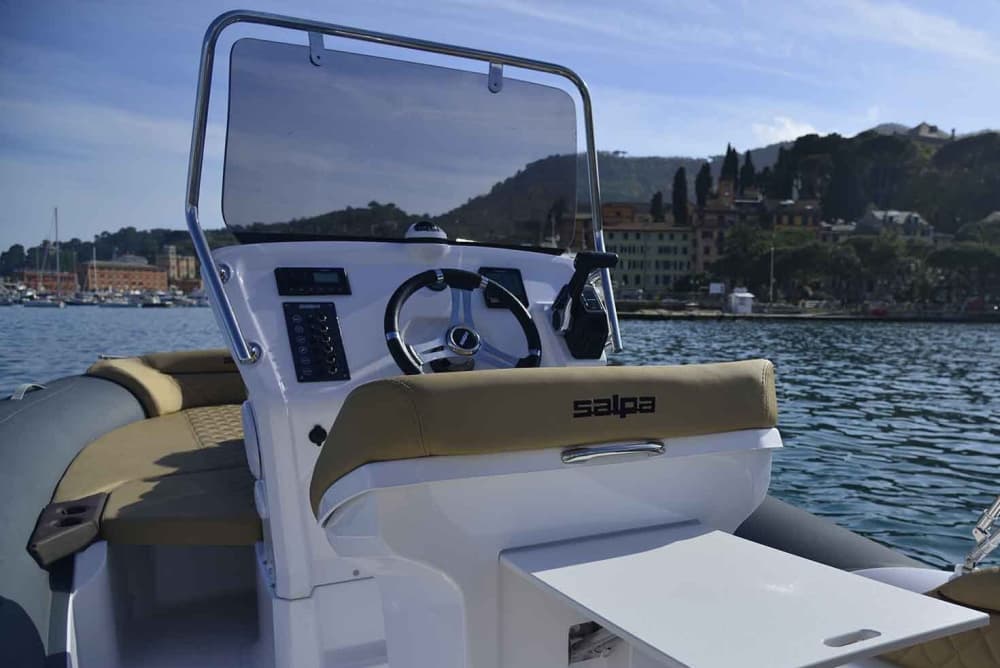 Momenti salienti della Riviera: crociera di mezza giornata a Portofino