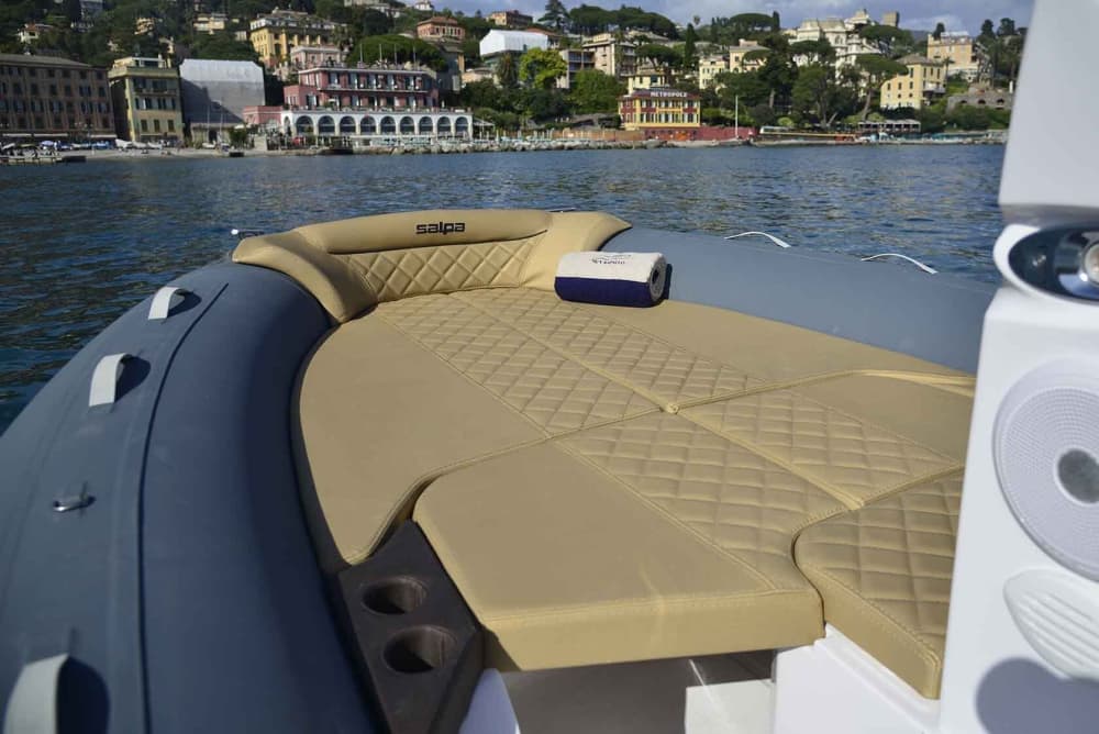 Momenti salienti della Riviera: crociera di mezza giornata a Portofino