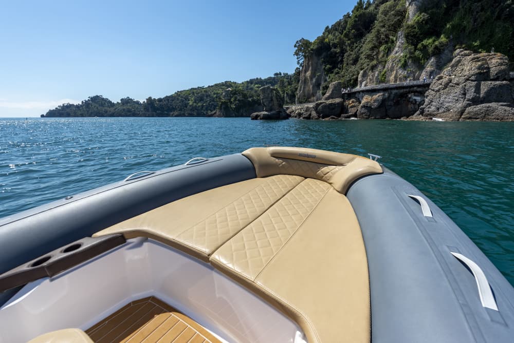 Momenti salienti della Riviera: crociera di mezza giornata a Portofino