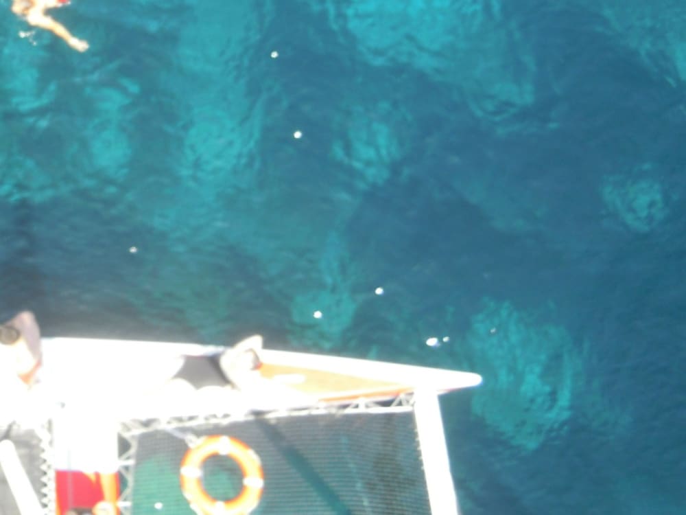 Ontdek Fornells, Menorca op een catamaran voor een volledige dag