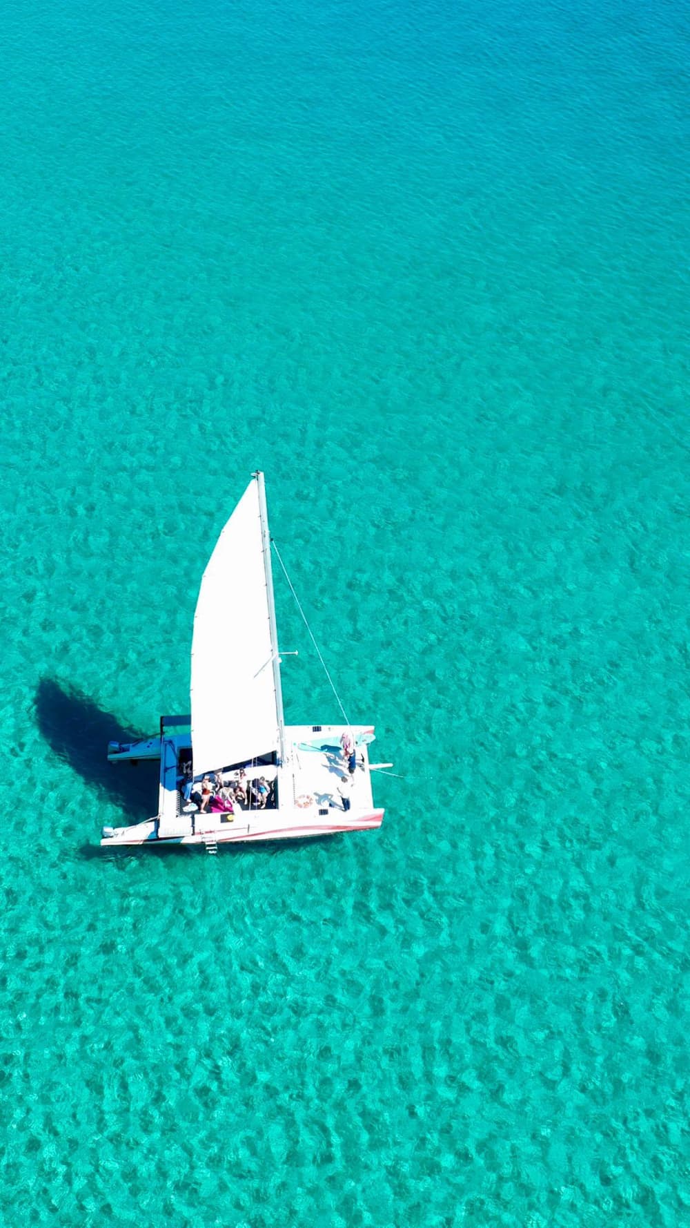 Ontdek Fornells, Menorca op een catamaran voor een volledige dag