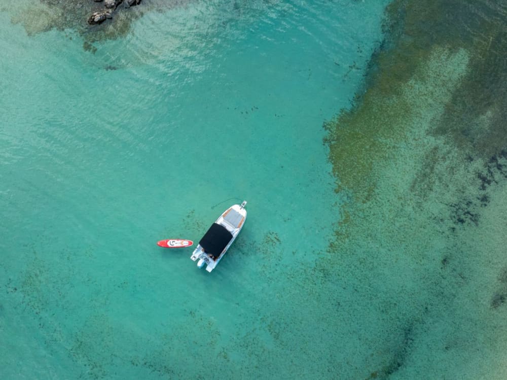 Menorca heldags lyxkryssning med bad och avkoppling