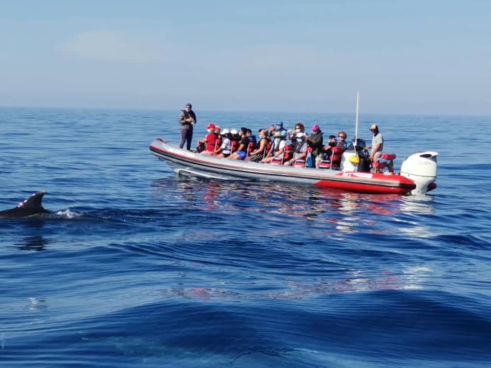 4 horas para descubrir Albufeira en lancha motora.