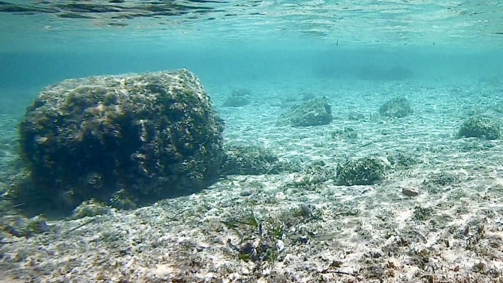 Privat solnedgångskryssning i Palmabukten