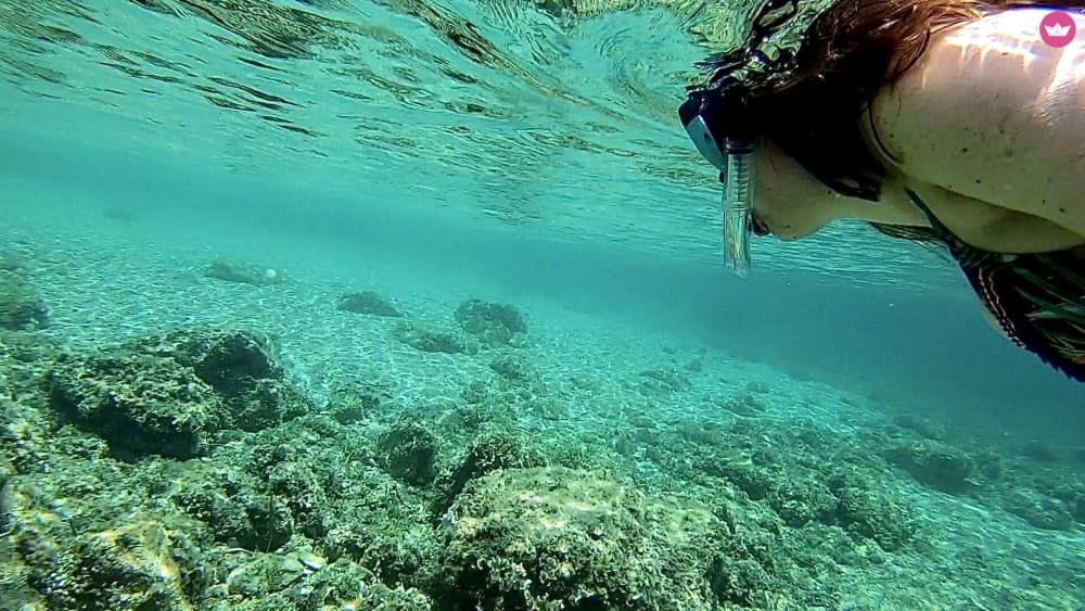 Privat solnedgångskryssning i Palmabukten