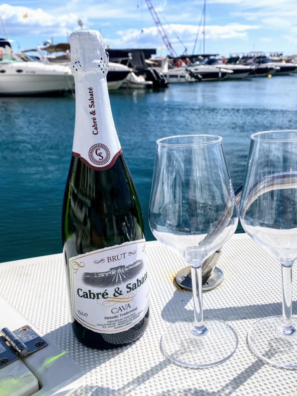 Private Sailing from Puerto Banús: 2 hours of sea, anchorage, and nature