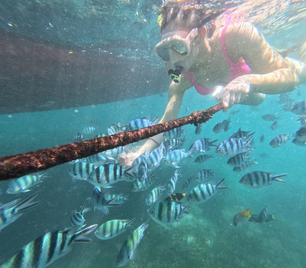 Κρουαζιέρα στο ηλιοβασίλεμα στο Μπαλί και περιπέτεια με κολύμβηση με αναπνευστήρα