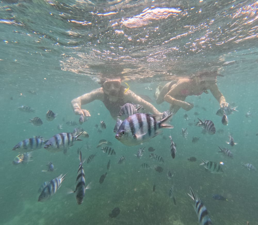 Κρουαζιέρα στο ηλιοβασίλεμα στο Μπαλί και περιπέτεια με κολύμβηση με αναπνευστήρα