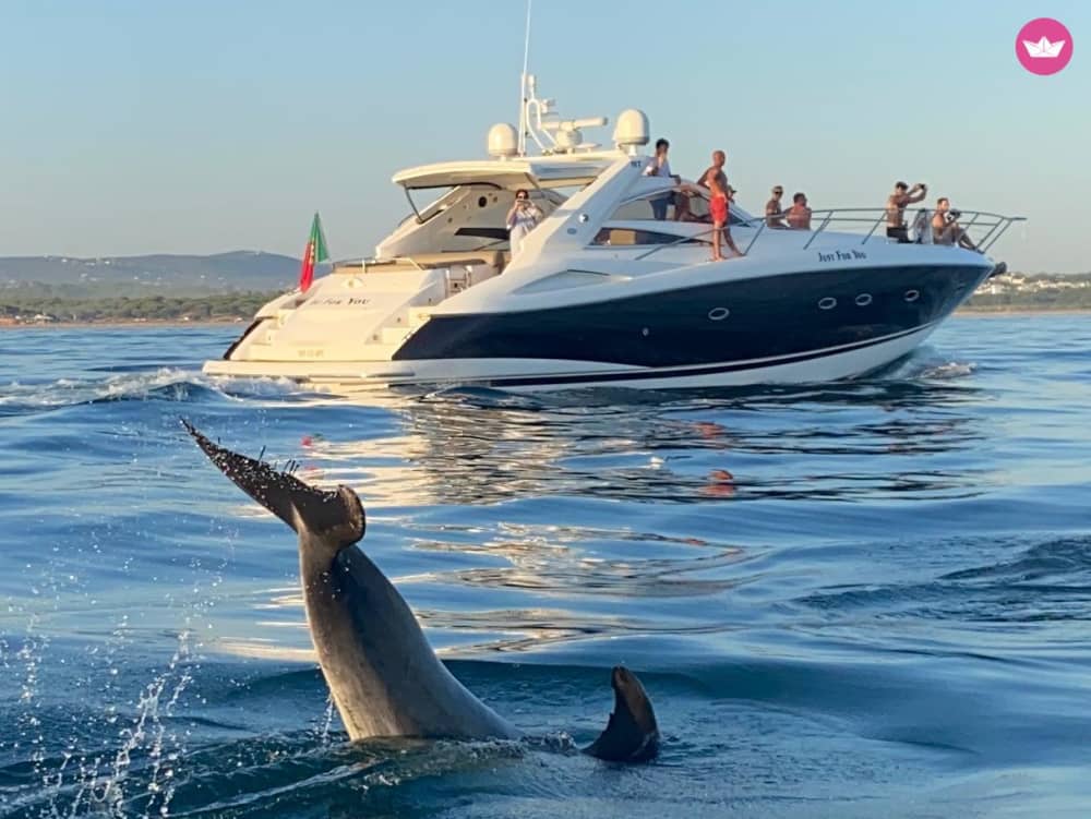 Cruzeiro Premium de 7 horas para descobrir as grutas escondidas do Algarve