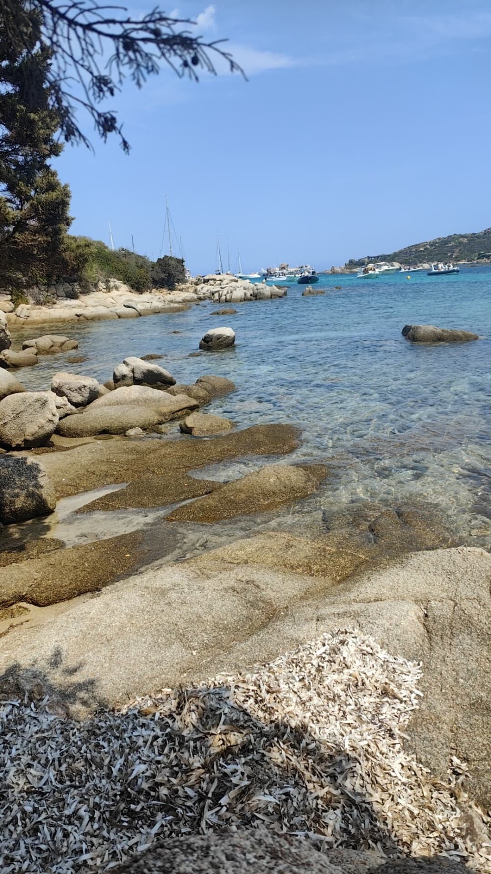 Einen Tag lang Punta Ala entdecken: Das wahre Dolce Vita auf einem Segelboot