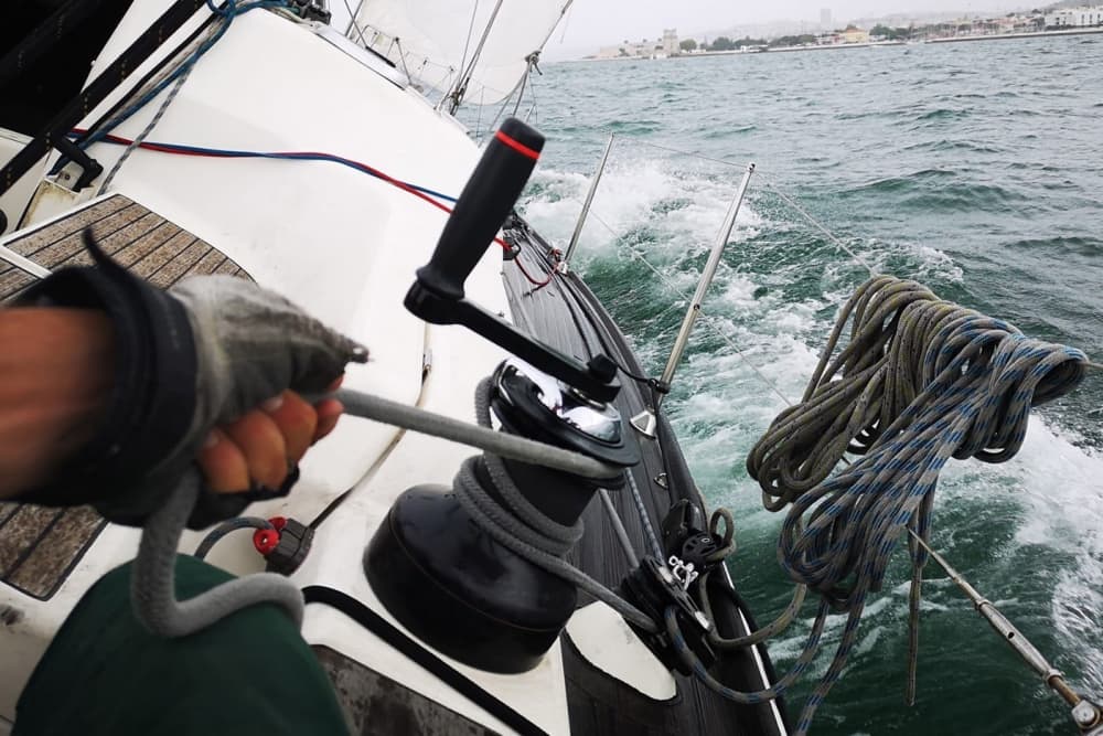 Full-day sailing experience in Faial Island