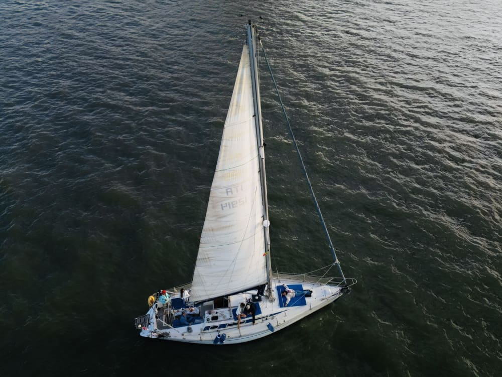 Full-day sailing experience in Faial Island