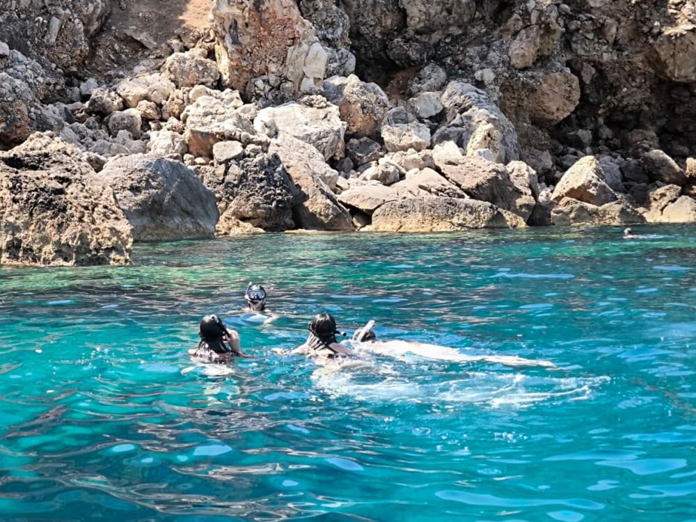 Spektakulär 4-timmars båttur