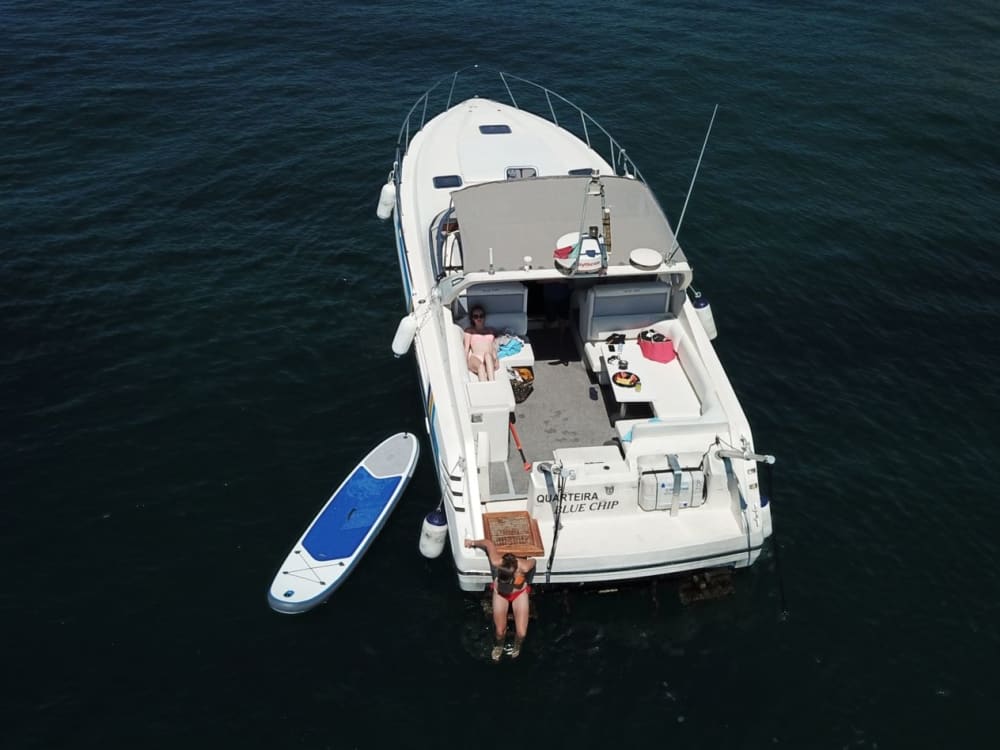 Półdniowa eksploracja morska z Portimão