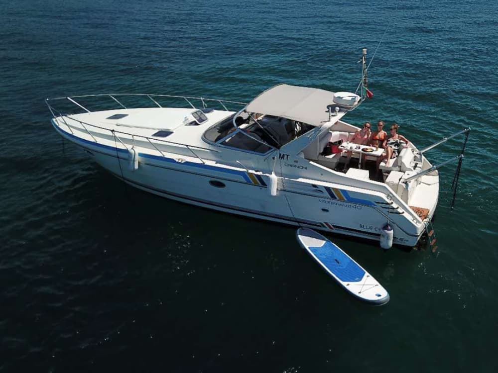 Półdniowa eksploracja morska z Portimão