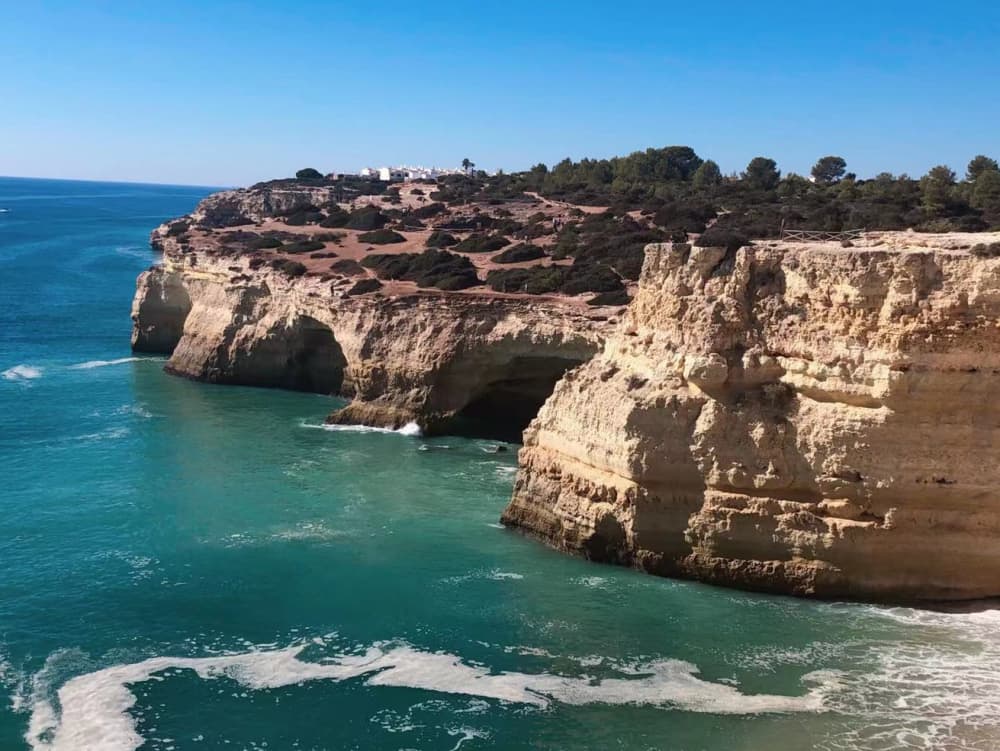 Półdniowa eksploracja morska z Portimão