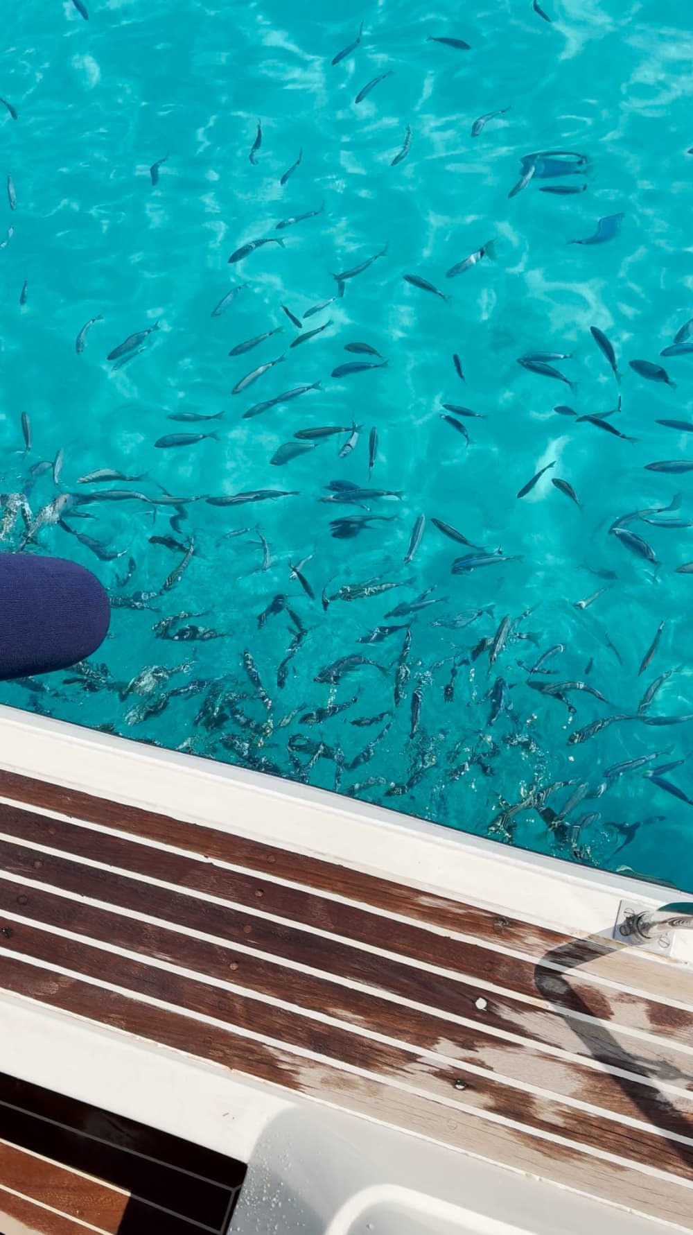 From Corfu to North-East Corfu Coastline, the Costa Costa Cruise: A Private Cruise Across Crystal Clear Waters & Secluded Beaches