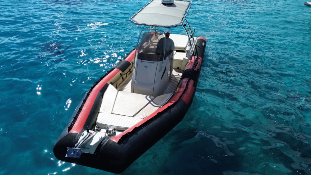Marine Escapade: Half-Day Tour and Water Sports in a Sillinger 900XL from Golfe Juan