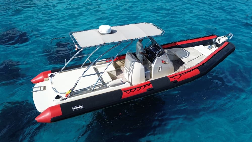 Marine Escapade: Half-Day Tour and Water Sports in a Sillinger 900XL from Golfe Juan