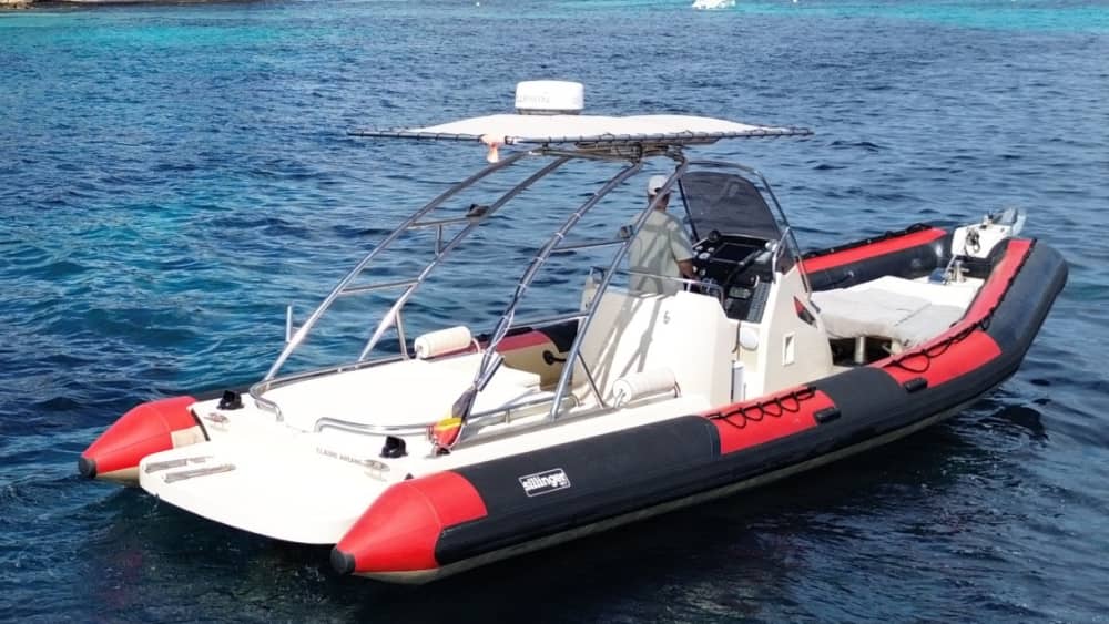 Marine Escapade: Half-Day Tour and Water Sports in a Sillinger 900XL from Golfe Juan