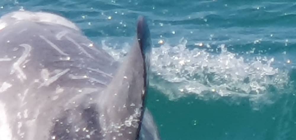 Détente à Saint-Quay-Portrieux : 5 h 30 de soleil sur un voilier