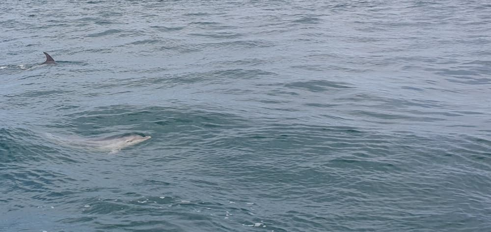 Détente à Saint-Quay-Portrieux : 5 h 30 de soleil sur un voilier