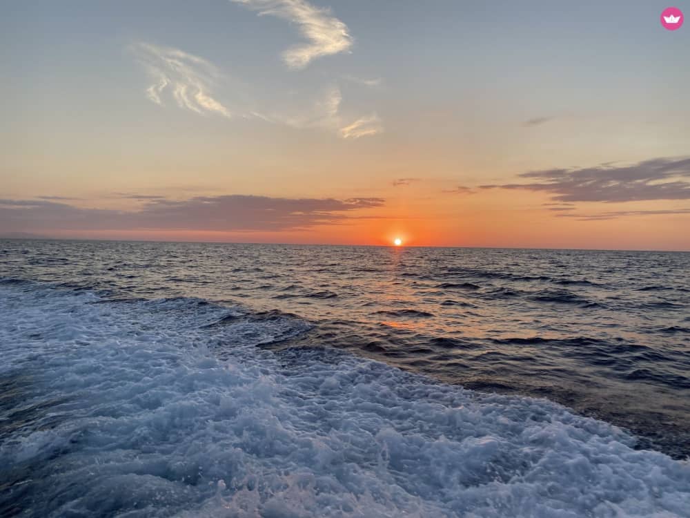 Coastal Escape – Half-Day Sea Adventure in Gran Canaria