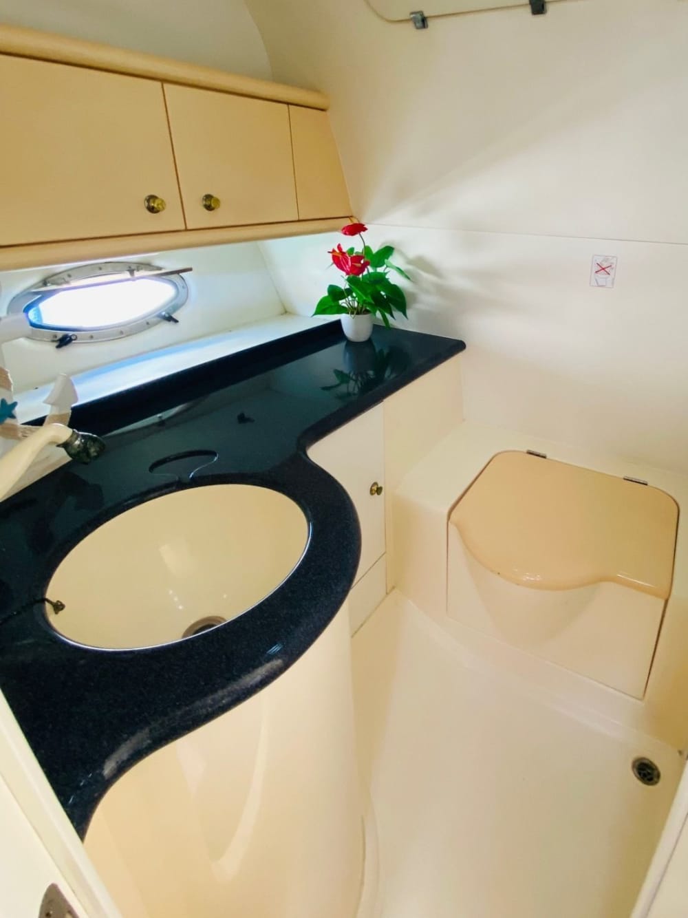 Coastal Escape – Half-Day Sea Adventure in Gran Canaria