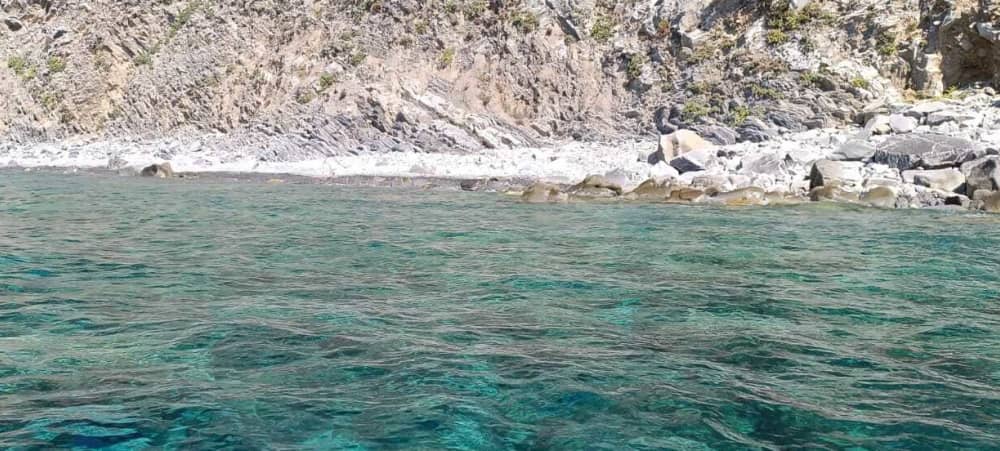Half-day La Spezia discovery: Your short escape on a motorboat
