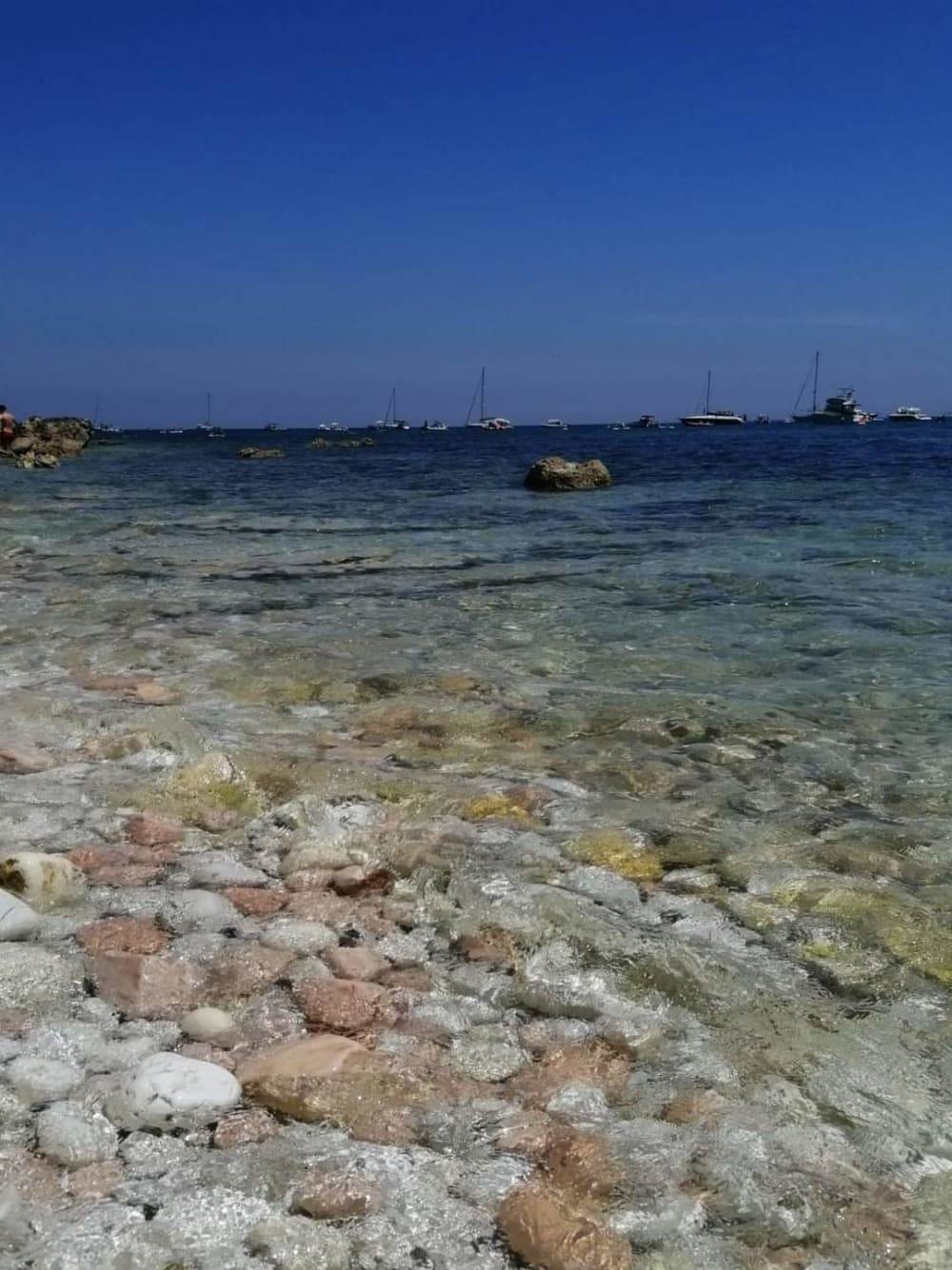 Ganztägiges Segelerlebnis in der Provinz Rimini