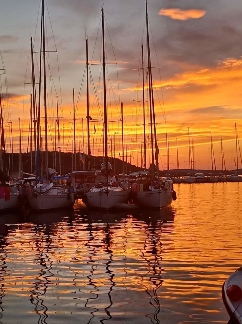Ganztägiges Segelerlebnis in der Provinz Rimini
