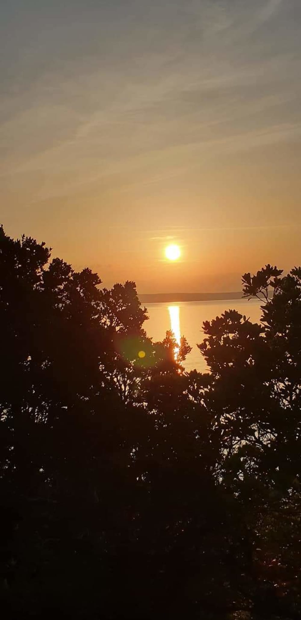 Ganztägiges Segelerlebnis in der Provinz Rimini